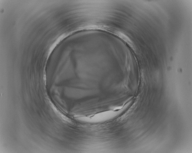 X0000070861428200607071846