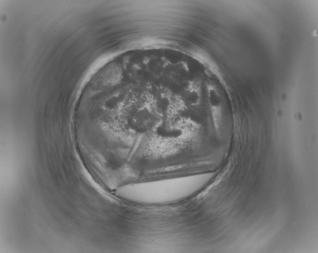 X0000070861429200607071846