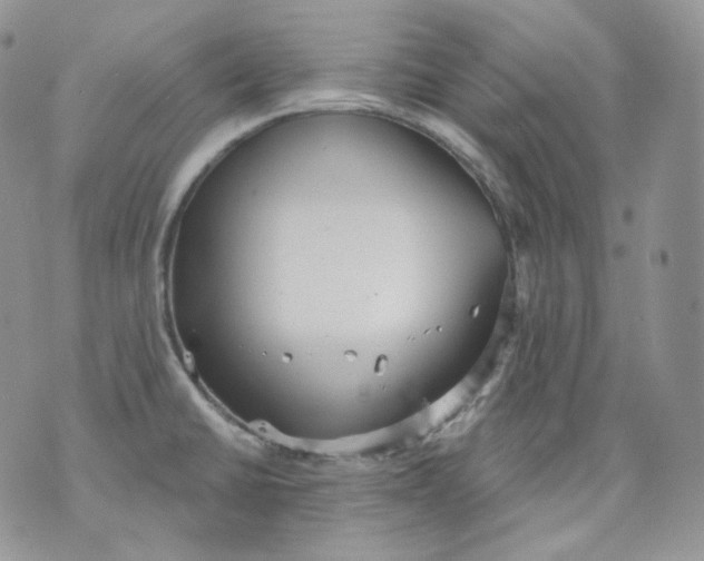 X0000070861430200607071846