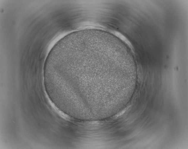 X0000070861431200607071846