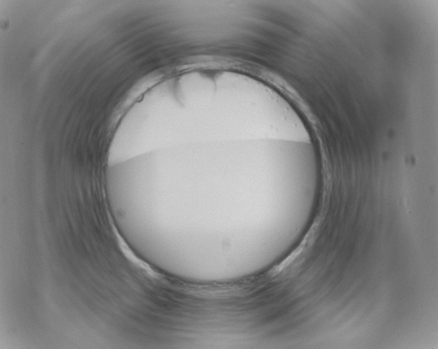 X0000070861433200607071846