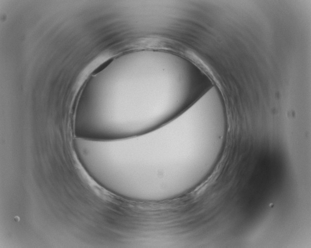 X0000070861434200607071846