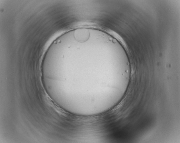 X0000070861435200607071846