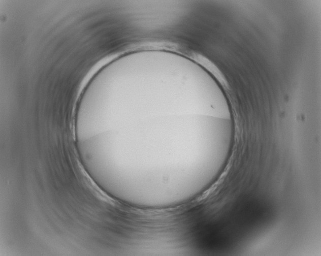 X0000070861436200607071846