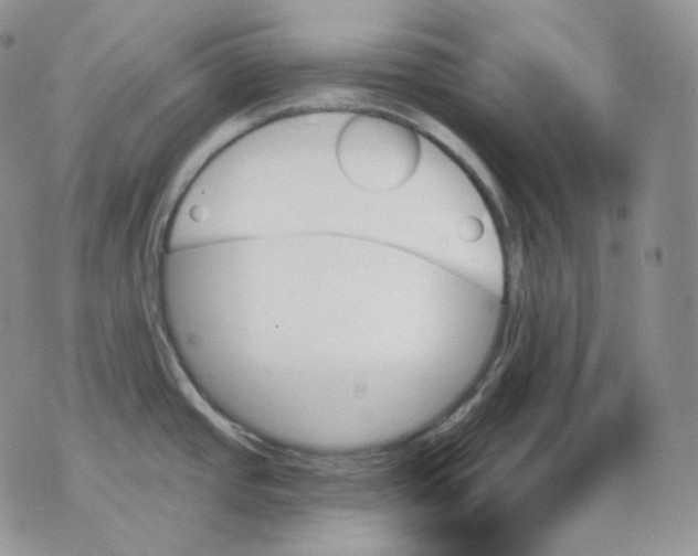 X0000070861437200607071846