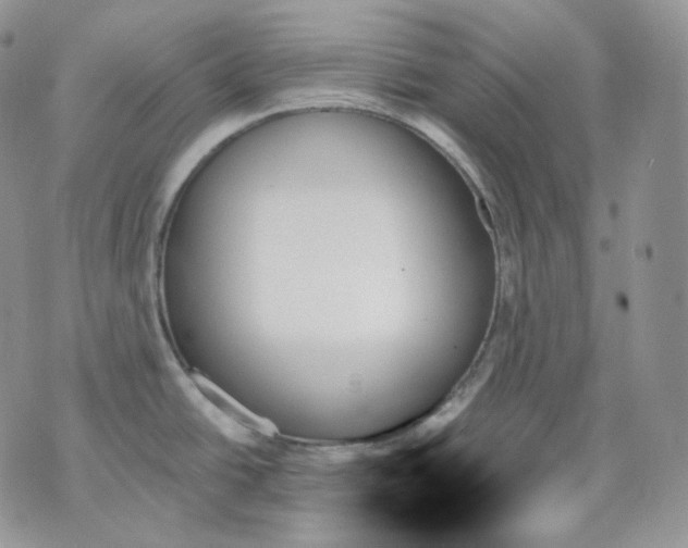 X0000070861438200607071847