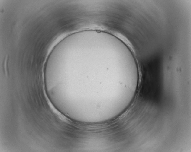 X0000070861439200607071847