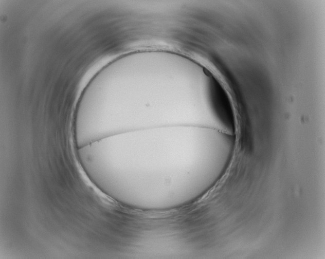 X0000070861440200607071847