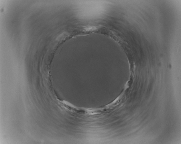 X0000070861441200607071846