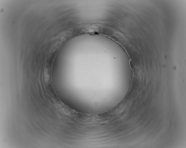 X0000070861442200607071846