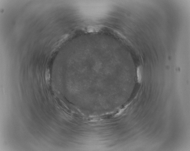 X0000070861443200607071846