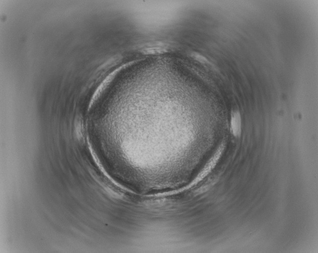 X0000070861444200607071846