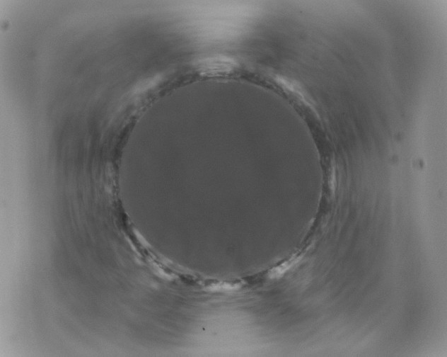 X0000070861445200607071846