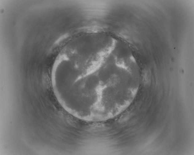 X0000070861446200607071846