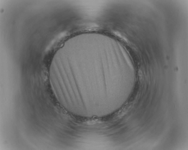 X0000070861447200607071846