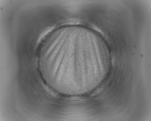 X0000070861448200607071846