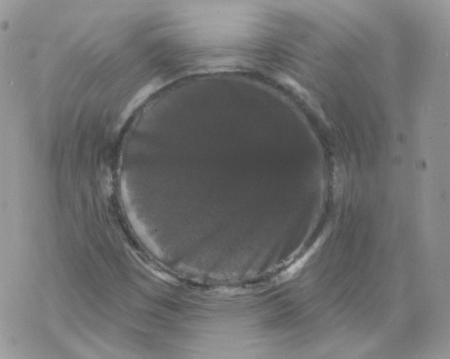 X0000070861449200607071846