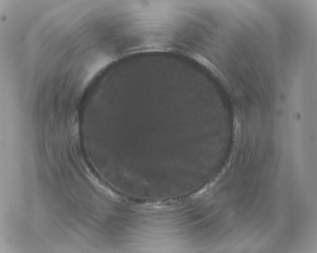 X0000070861450200607071846