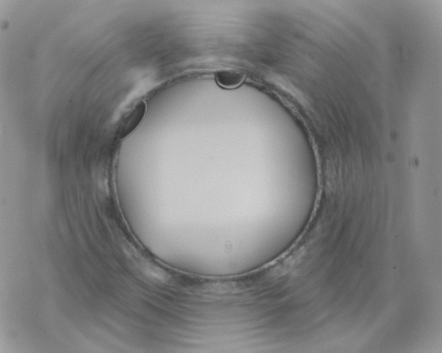 X0000070861451200607071846