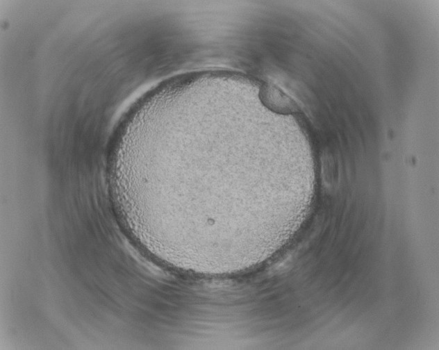 X0000070861452200607071846