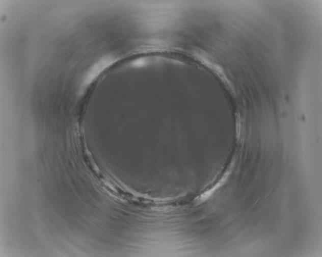 X0000070861453200607071846