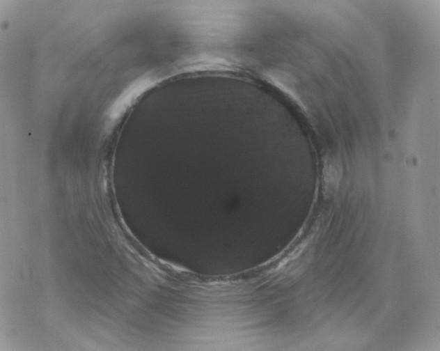 X0000070861455200607071846