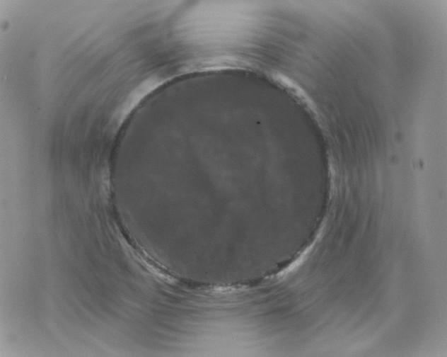 X0000070861457200607071846