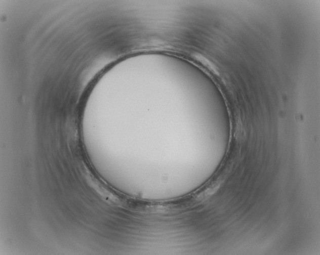 X0000070861458200607071845