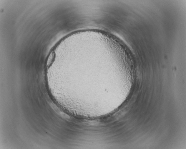 X0000070861460200607071845