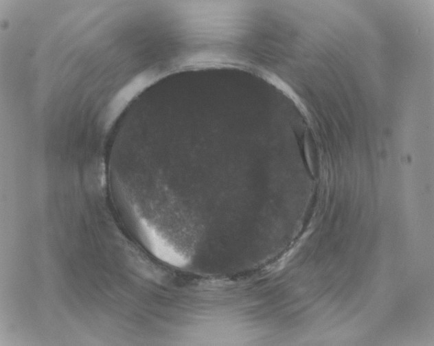 X0000070861461200607071845