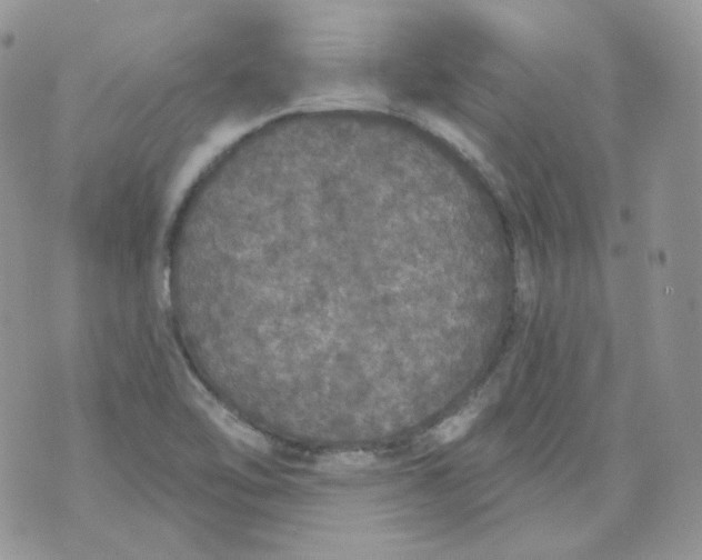 X0000070861462200607071845