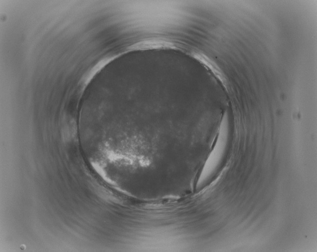 X0000070861465200607071845