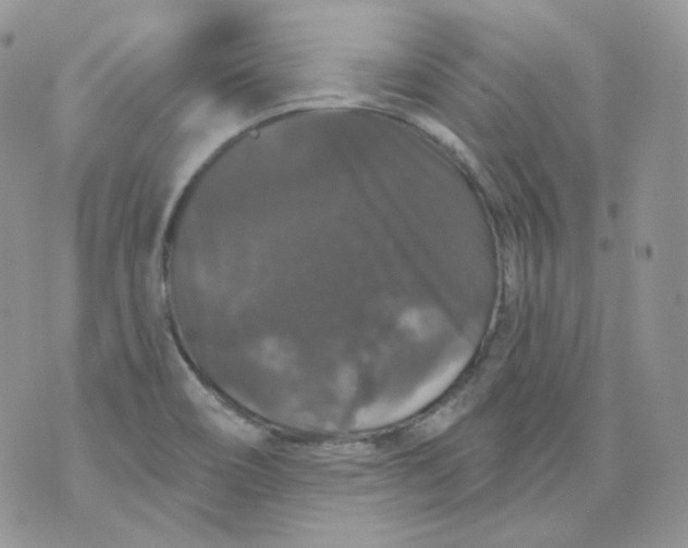 X0000070861466200607071845