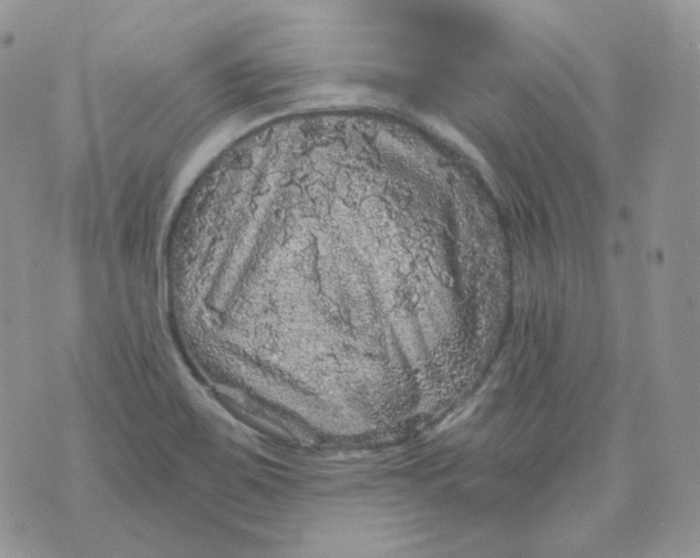 X0000070861467200607071845