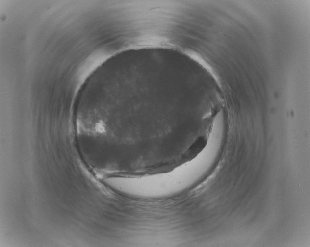 X0000070861469200607071845