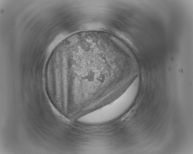 X0000070861471200607071845