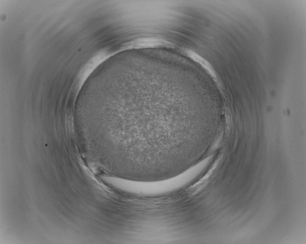 X0000070861473200607071845