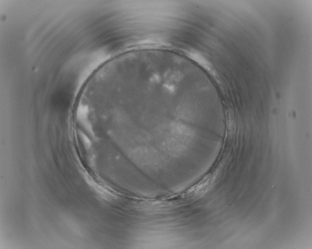 X0000070861474200607071845