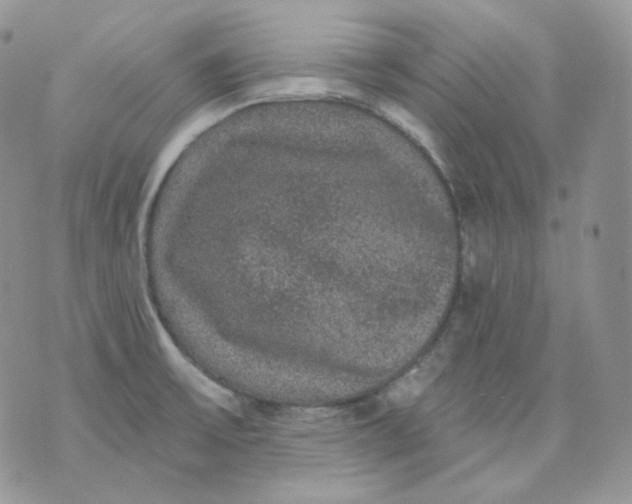 X0000070861475200607071845