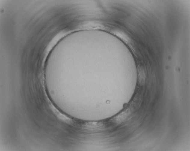 X0000070861478200607071845