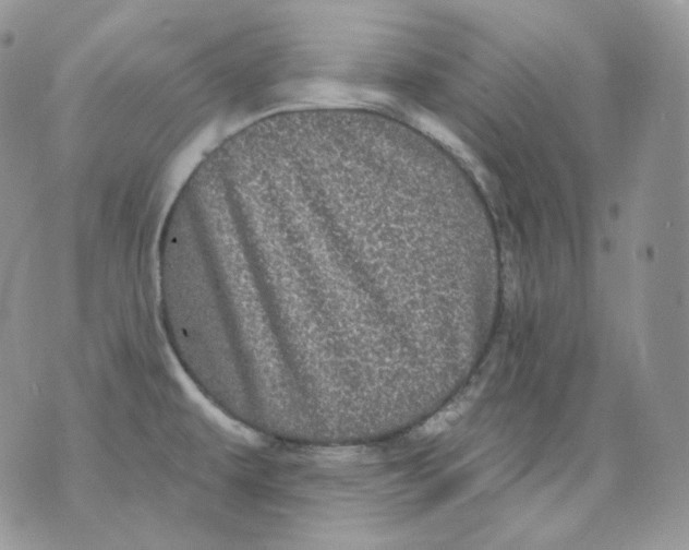 X0000070861479200607071845