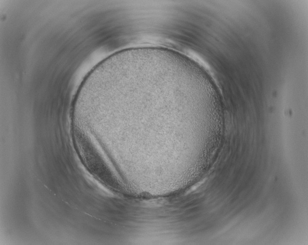 X0000070861480200607071845