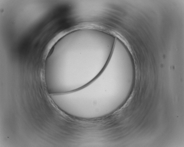 X0000070861481200607071845