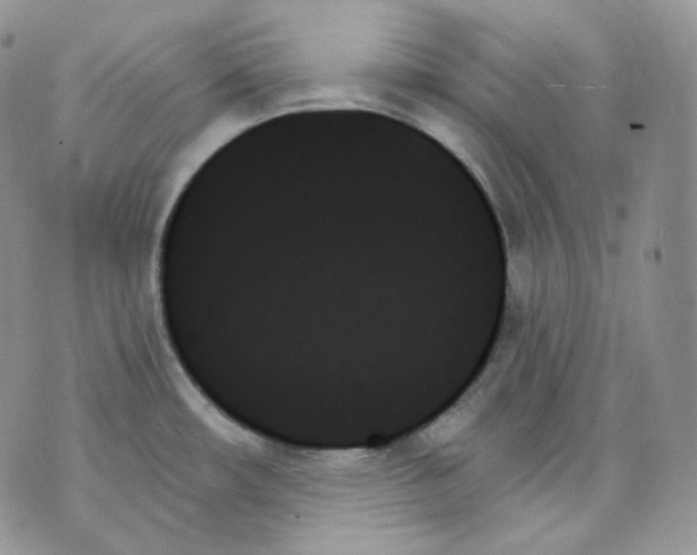 X0000070861482200607071845