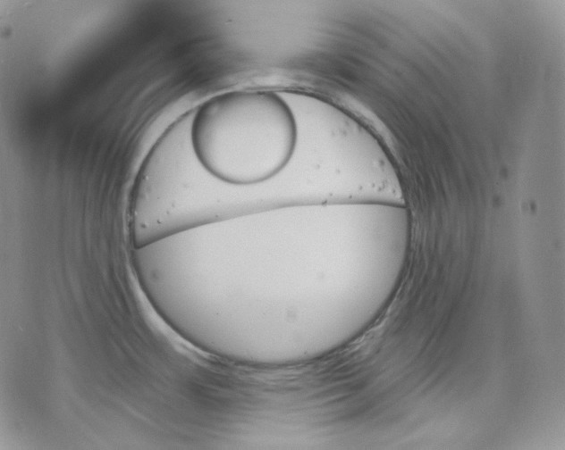 X0000070861483200607071845