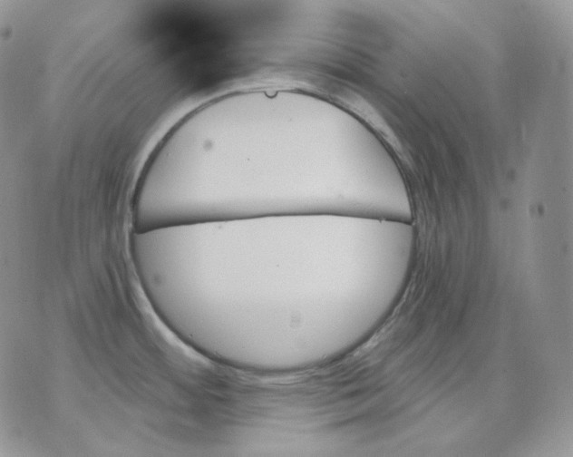 X0000070861484200607071845