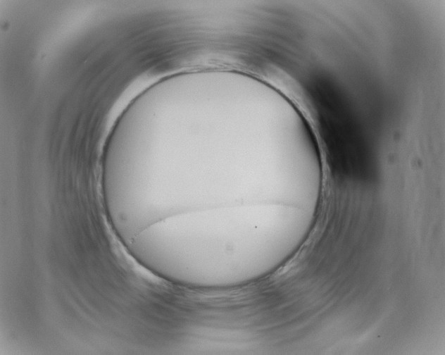 X0000070861486200607071845