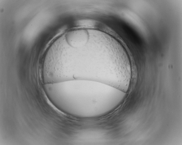 X0000070861487200607071845