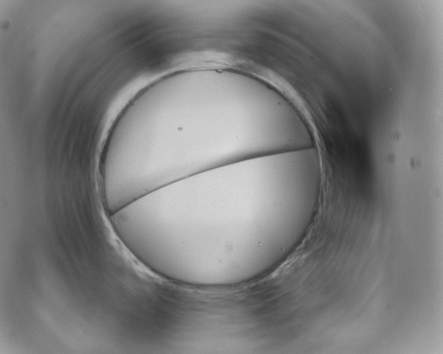 X0000070861488200607071845