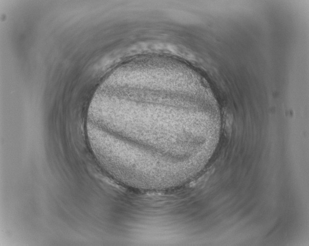 X0000070861489200607071844